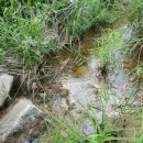 과수원민박 이미지