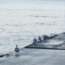 김명석농장 이미지