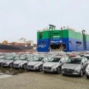 글로벌HB 이미지