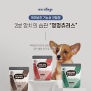 별덴탈 이미지