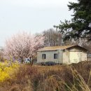 송림2리마을회관 이미지