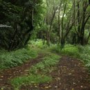 지미봉주차장 이미지