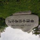 230513 문학.청량.봉재산을 찾아 코리아 둘레길 전단지 게시 산행트레킹하다. 이미지