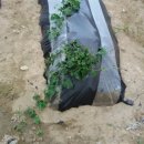 한우리세탁소 이미지