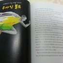 가나스포츠 - 송파구 오금로64가길 30 | 가나스포츠