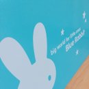 88PC | [육아는장비빨]블루레빗전집 구매후기