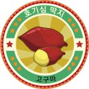 EBS 최고다 호기심 딱지 시즌3 이미지