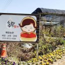 혜일농장 네이버블로그