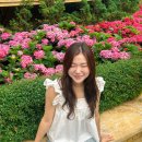 라라엠 | 여행인플루언서 선정 후 명함제작 추천 아이엠디자인 후기