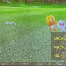 그린라이언 골프아카데미 | 강남 스크린골프 치고 24시 골프피팅샵
