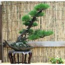 삼계원 이미지