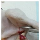 뉴월드 동물병원 이미지