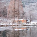 공주-58 이미지