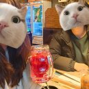 별난아재맥주광주효천점