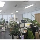 세무회계 창 네이버블로그