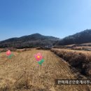 고성부동산중개사무소 이미지