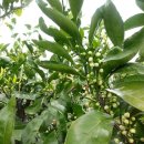 정인농장 이미지