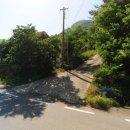 디엔에스컴퍼니 이미지