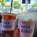 나이스빙(NICE BING) | 대프리카 더위는 대구 동구 나이스빙 빙수로 날려버리세요!