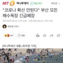 부산 광안리해수욕장 오늘부터 조기 폐장이래여 ㅠ 이미지