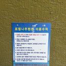 강릉 로뎀 애견동반펜션 후기