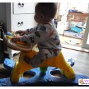 성일체육관 이미지