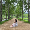 삼성전자디지털센터안양본점 이미지