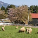 남해-남해-남해-비-2 이미지