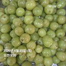 목령종합사회복지관 | 오창과학산업단지 혁신지원센터 케이터링 후기 : 깔끔함으로 완성한 현장