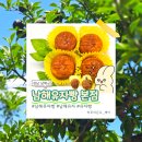 맛이야기 이월본점 | [남해 여행] 남해 여행 기념품 디저트 추천, 남해유자빵 본점 메뉴 주차 맛 솔직 후기