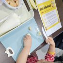 남산리농장 | 대구근교 청도 꿈그린농원 바나나 따기 체험 솔직후기