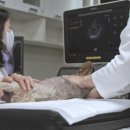 KU건국동물병원 이미지