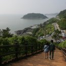 동백쉐이리 이미지