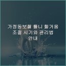 가정백세플란트치과의원 | 가정동보철 틀니 헐거움 조절 시기와 관리법 안내