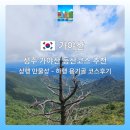 40계단 칠엽수거리 | 가야산 등산코스 추천 상행 만물상코스 하행 용기골코스 후기 성주가야산 등산팁