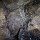 용연동굴 이미지