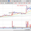 금채컴퍼니 이미지