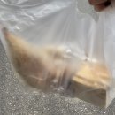 린네약국 | 앞으로는 그냥.. 앙스타 일기라고 솔직하게 적어도 돼요…