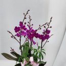 터미널길 이미지