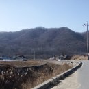 생1리 이미지