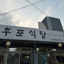 대로식당 | 속초 현지인 맛집 후포식당 평일 방문 솔직 후기