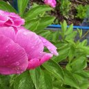 반월농장 이미지