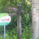 콩깍지민박