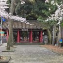 씨유제주이도삼성로점 | [제주 봄 여행]제주도 2박3일 여행 제주도 삼성혈 벚꽃명소