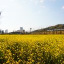 농림축산검역본부(식물검역기술개발센터) 이미지
