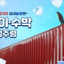 푸르른 농장 이미지