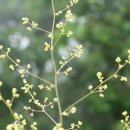 동자목장 이미지