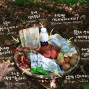 로컬푸드파머스