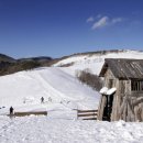 웃음꽃목장 이미지