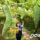 여주-0903 이미지